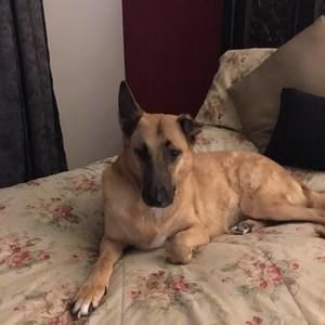 Meet your Posher, Ann